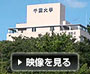 h镗i2010  t